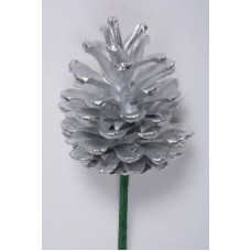 AUSTRIAN PINE CONE 2-3" (PICKED) SILVER- OUT OF STOCK